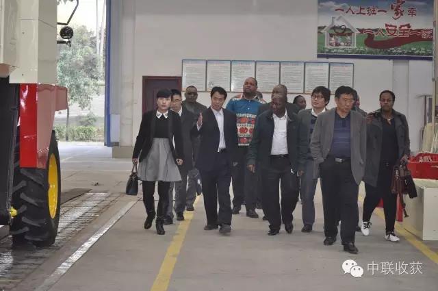 1585305133824668.jpg 3.jpg