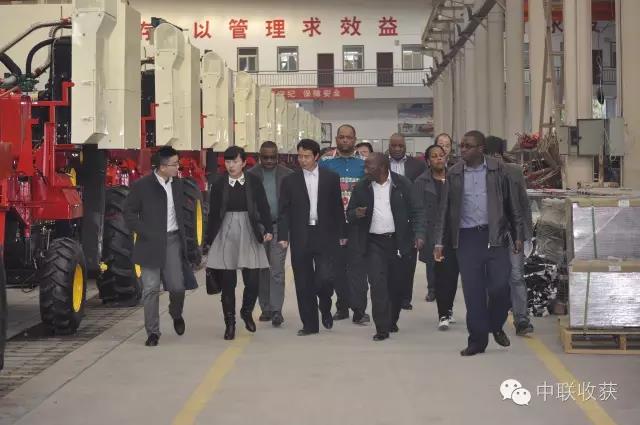 1585305156939035.jpg 4.jpg