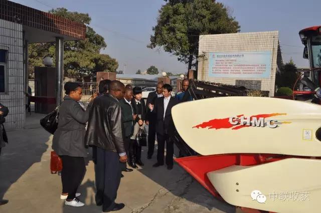 1585305167792990.jpg 5.jpg