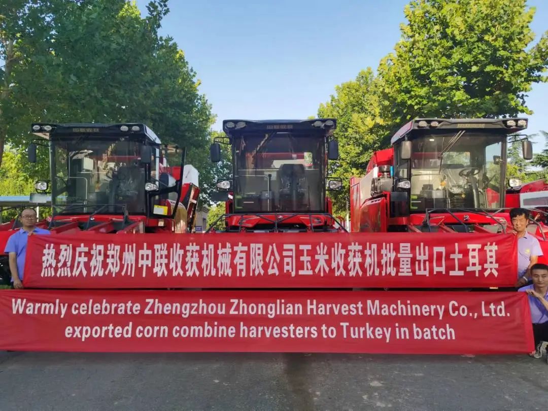 1658835265176302.jpg 726.jpg