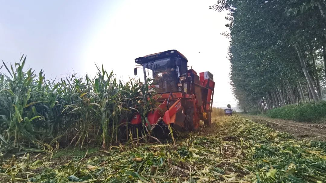 1658835288483638.jpg 726-1.jpg