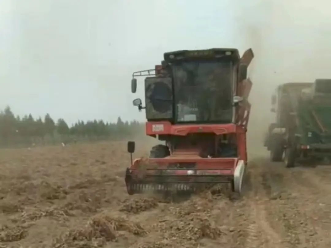 1659699810423122.jpg 805.jpg