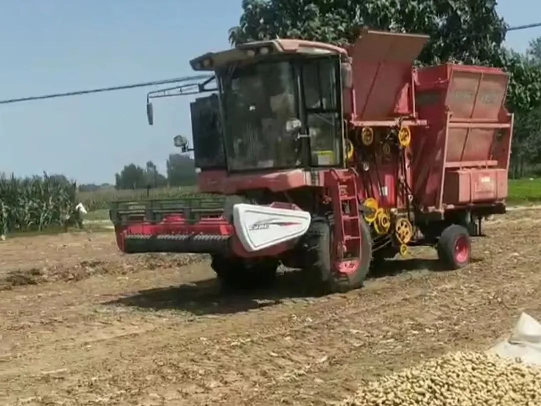 1659699820266462.jpg 805-1.jpg