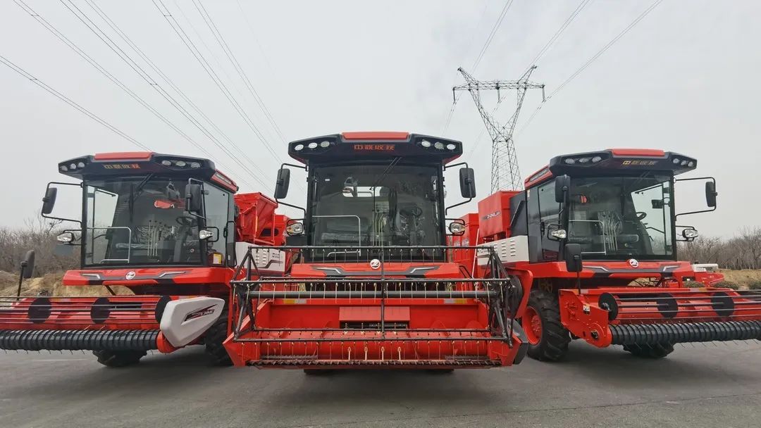 1660131742497216.jpg 810-2.jpg