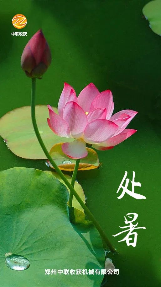 1661259920514742.jpg 823.jpg