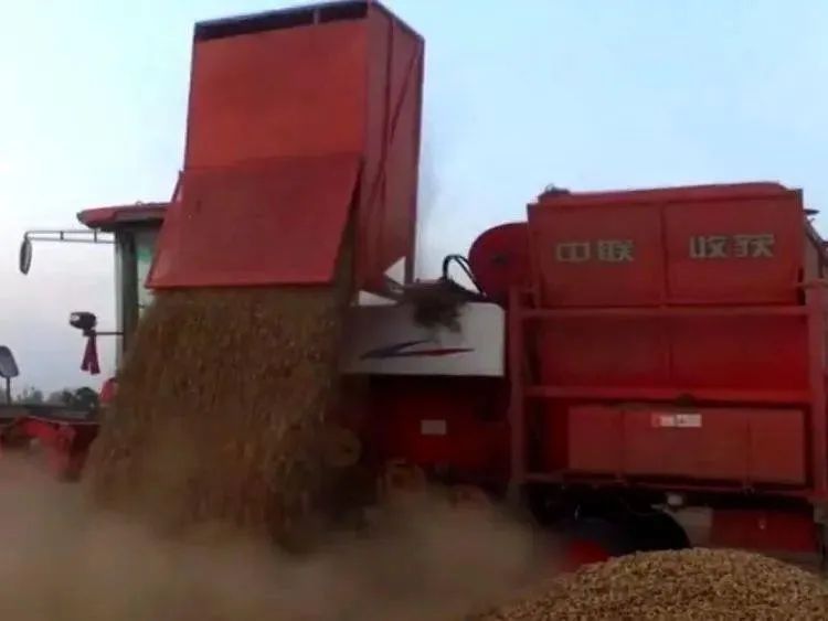 1661771547803449.jpg 8-9-5.jpg