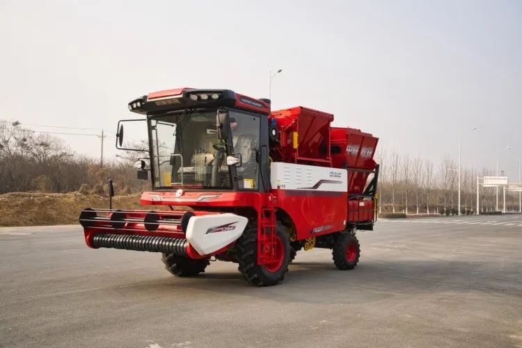 1661771554289428.jpg 829-6.jpg