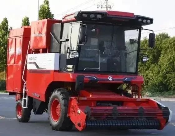 1664010183666934.jpg 921-2.jpg