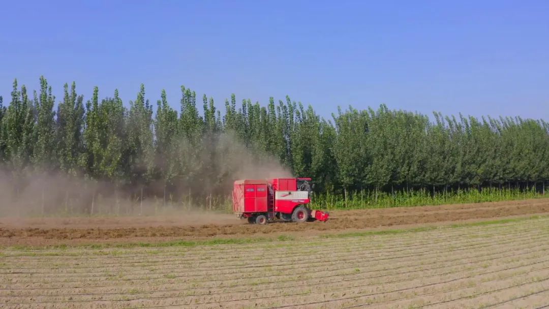 1665490217390996.jpg 1011-1.jpg