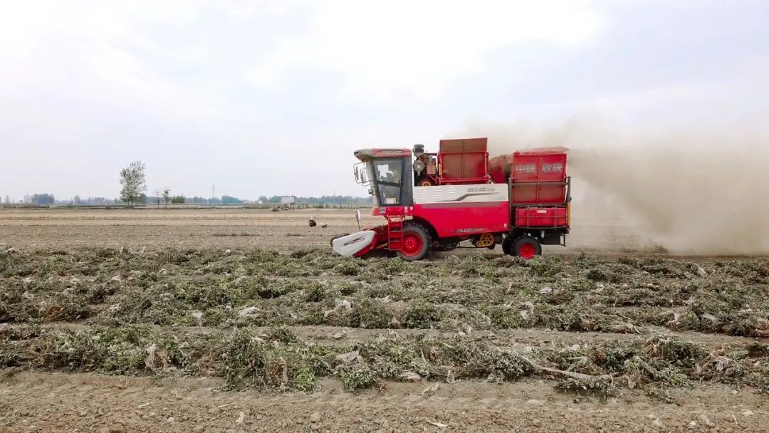 泰安東平呂新春:一小時作業(yè)十二畝 信賴中聯(lián)日進斗金(圖2) 泰安東平呂新春:一小時作業(yè)十二畝 信賴中聯(lián)日進斗金(圖2)