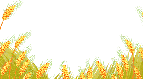 唐山豐南劉賀海:年收入翻兩番 中聯收獲花生機帶來意外之喜 (圖3) 唐山豐南劉賀海:年收入翻兩番 中聯收獲花生機帶來意外之喜 (圖3)