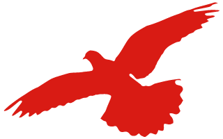 唐山豐南劉賀海:年收入翻兩番 中聯收獲花生機帶來意外之喜 (圖1) 唐山豐南劉賀海:年收入翻兩番 中聯收獲花生機帶來意外之喜 (圖1)