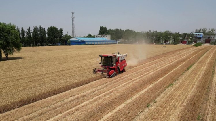 中聯收獲經銷商的堅守:永保服務品質 延續品牌榮耀(圖2) 中聯收獲經銷商的堅守:永保服務品質 延續品牌榮耀(圖2)