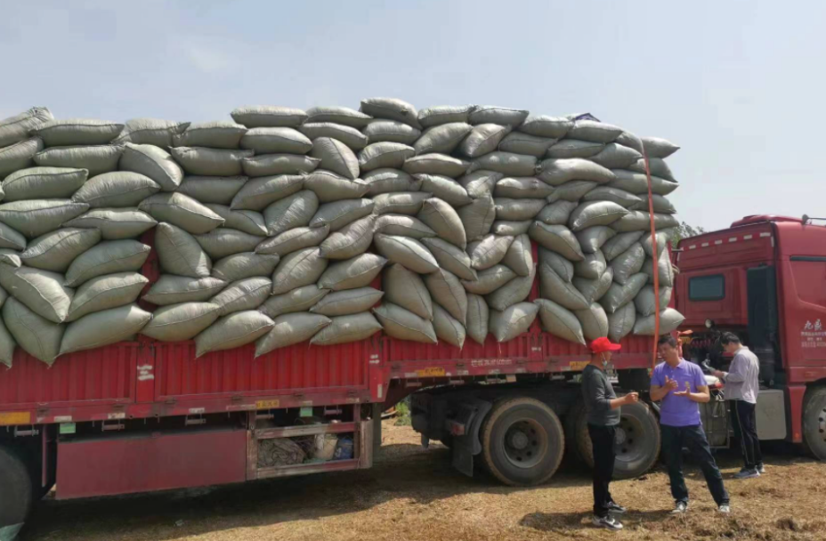 鄭州中聯“
用戶”:村長王洪濤的故事(圖2) 1-230605104R1C3.png