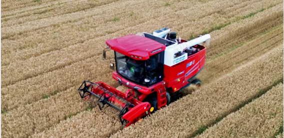 青島平度滿書山:“牛人”開“牛車” 中聯收獲哪都好(圖2) 640.png