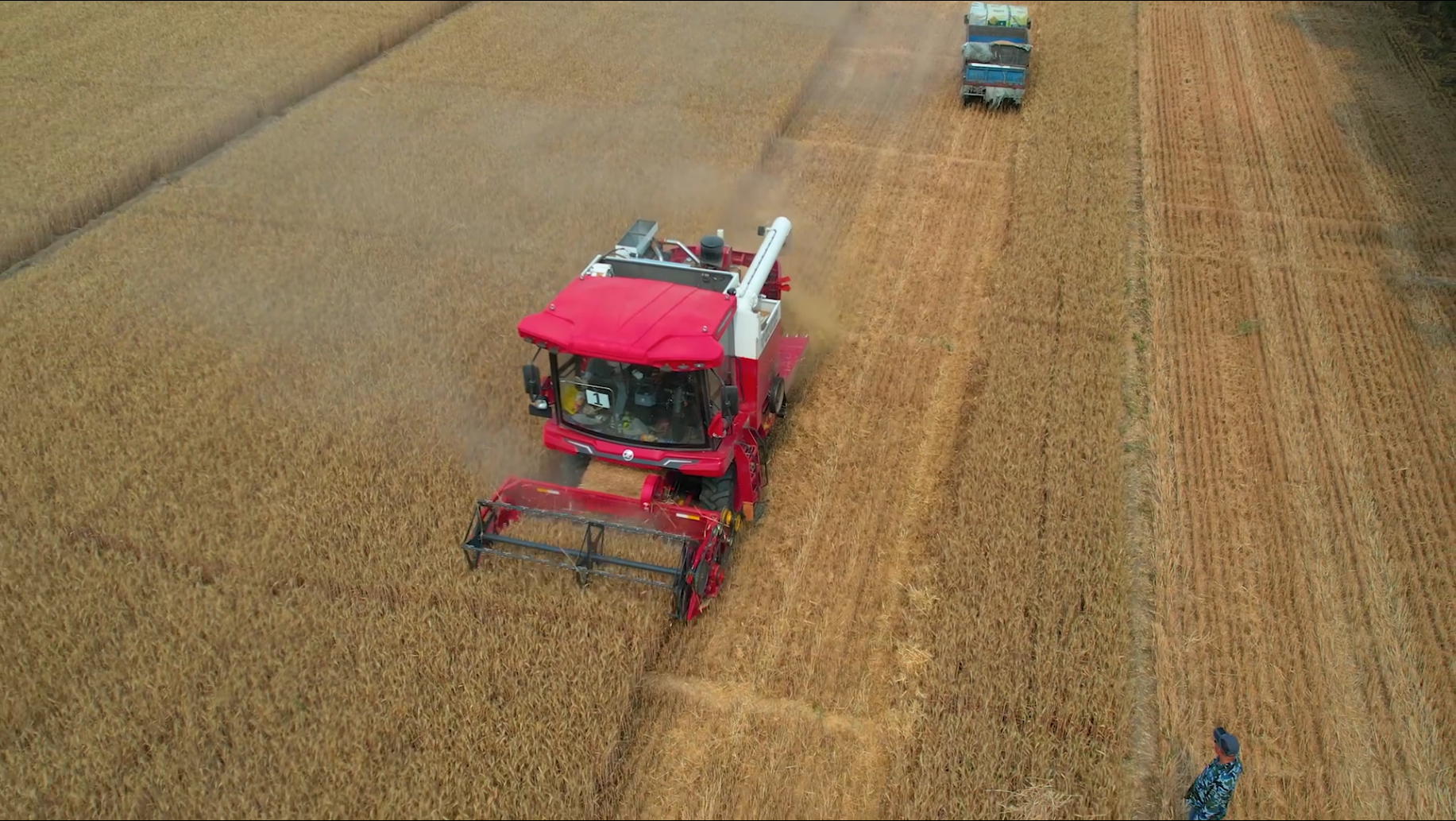 中聯(lián)收獲新疆-9谷物聯(lián)合收獲機(jī)再次出口中亞地區(qū) 3.png