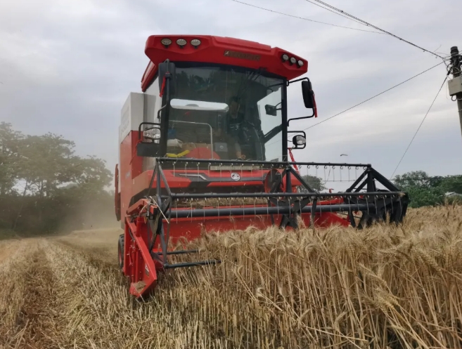 1711176520777331.png 3.png