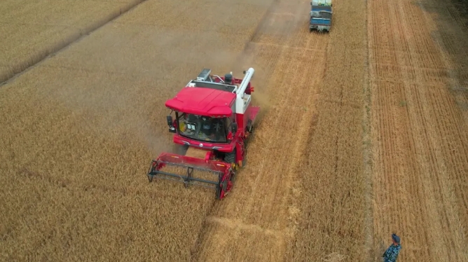 1711435599720866.png 1.png