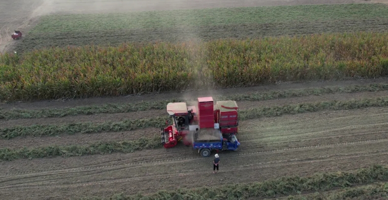 1712580632954093.png 1712580632954093.png