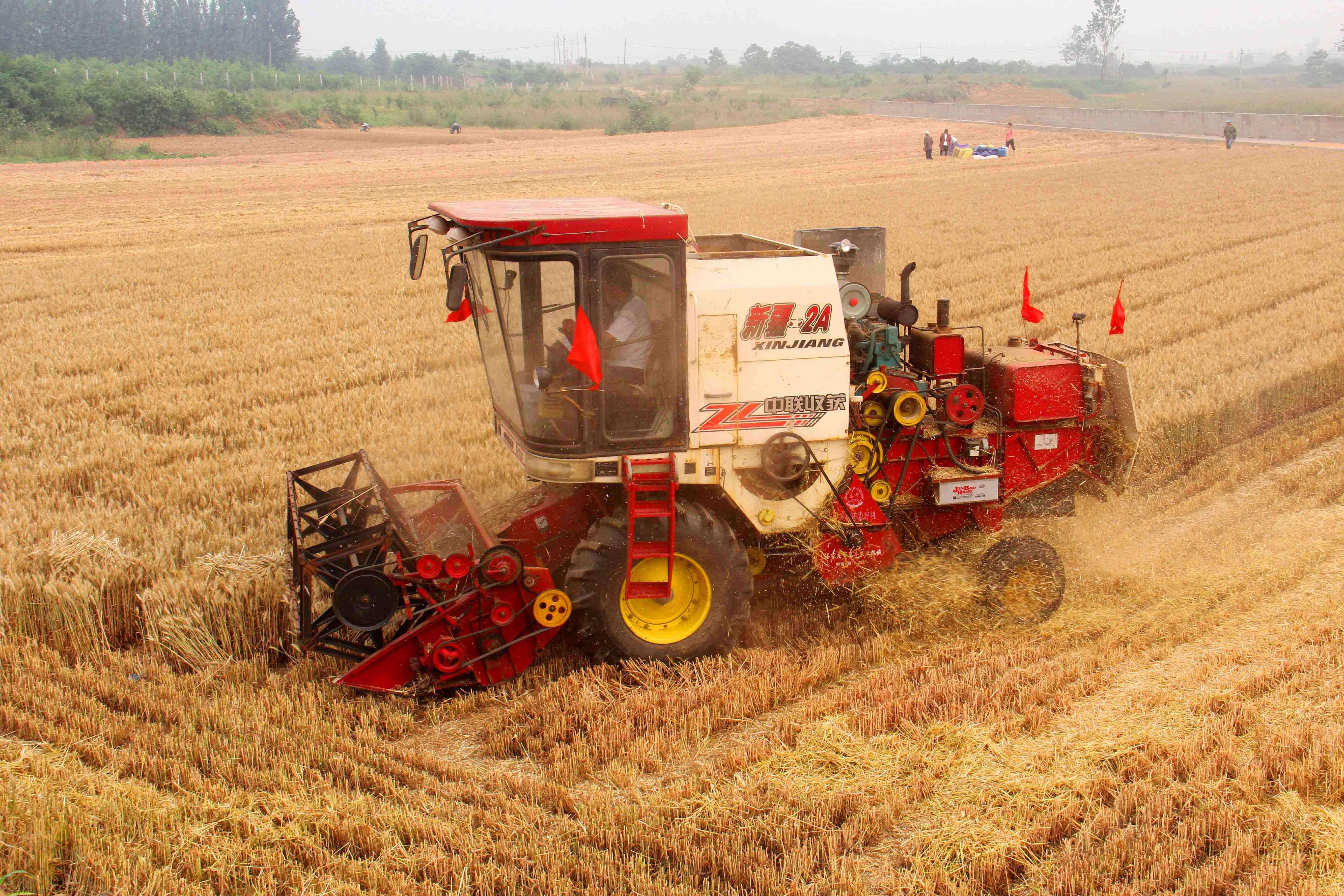 1766477054937205.jpg 1766477054937205.jpg